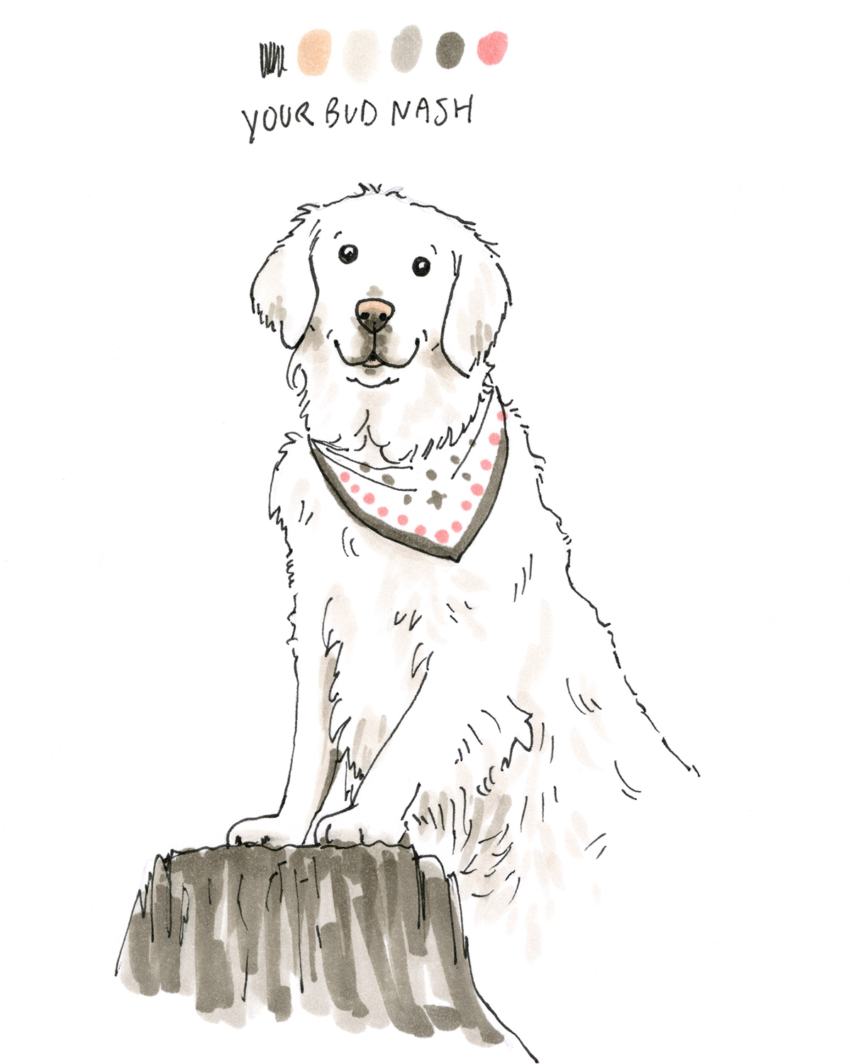 100 day project, drawing one dog a day, dog illustration, www.DOGvision.eu