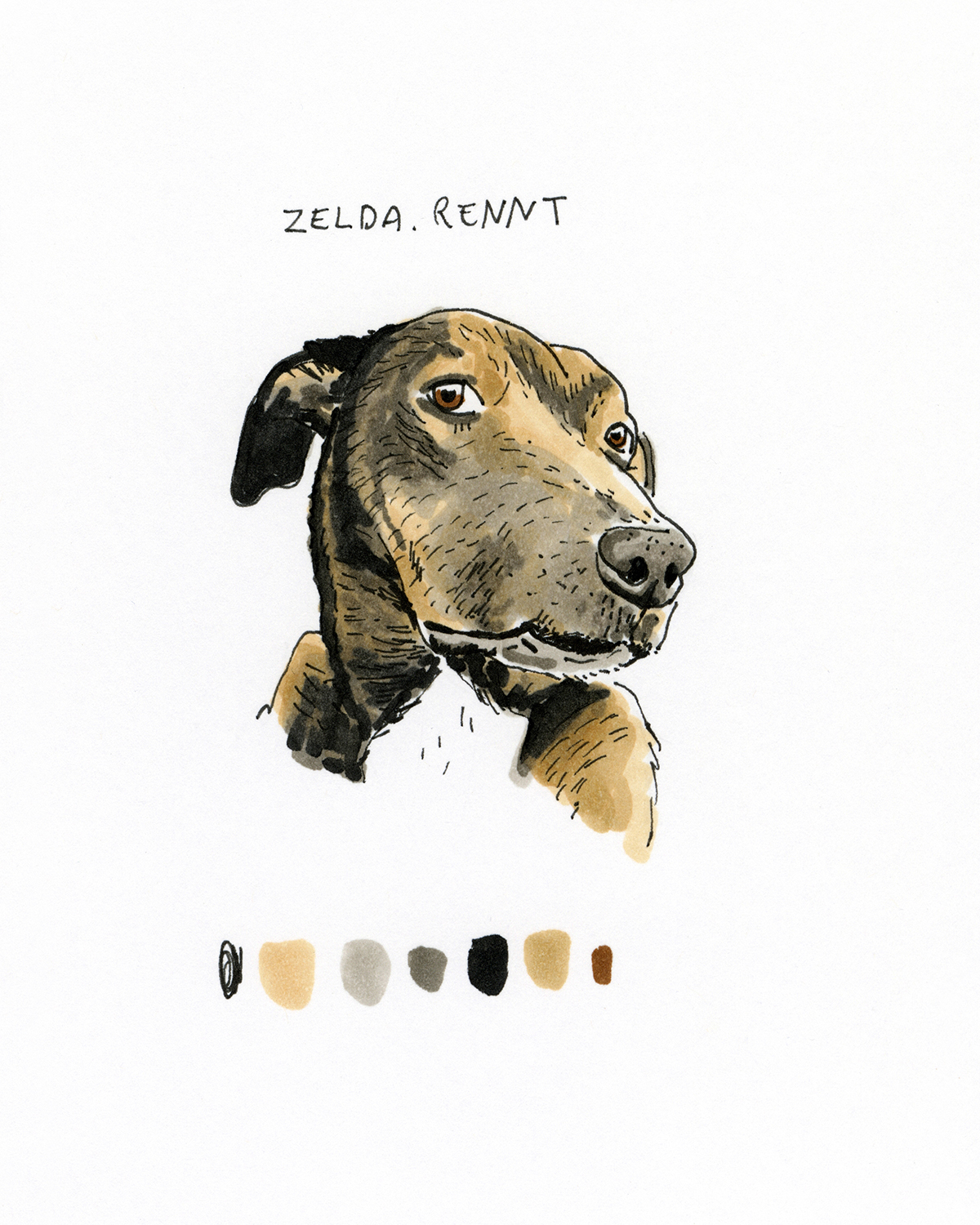 DOGvision 100 day dog drawing challenge, the 100 day projects, dog illustration, www.DOGvision.eu